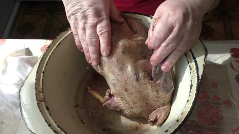 The chef prepares a wild goose for dinner Stock Footage 196317482