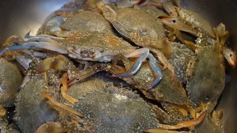 Chef preparing crabs for cooking Stock Footage 129573112