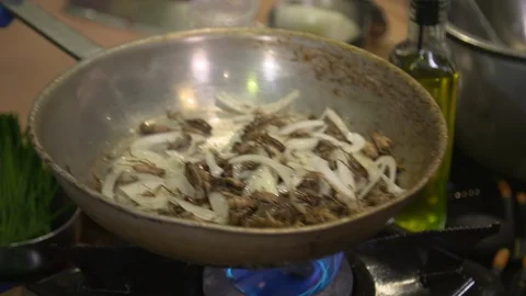 Chef preparing crickets dish in pan at kitchen Stock Footage 93518925