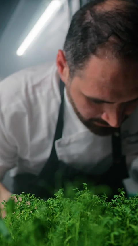 Chef Preparing The Dish Surrounded By Plants Stock Footage 272609826