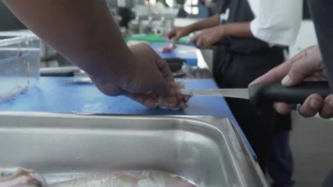 Chef preparing Fresh Fish 스톡 동영상 238501389