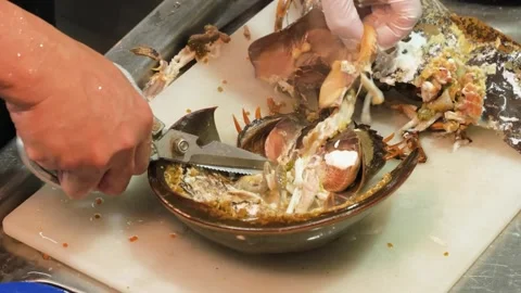 Chef Preparing Fresh Horseshoe Crab with Kitchen Scissors on Cutting Board Stock-Footage 344221614