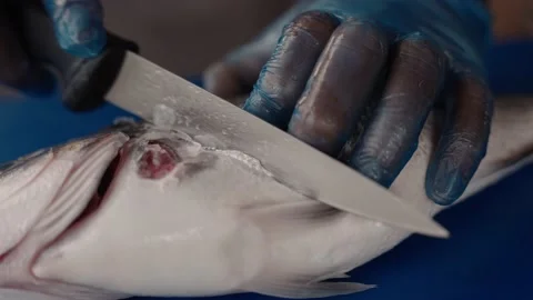 Chef preparing raw fish in restaurant. Stock Footage 161727559