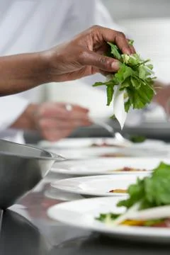 Chef Preparing Salad Stock Photos