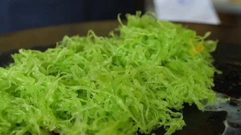 Chef Preparing Savory Crepe with Fresh Green Shredded Lettuce or Herbs on Cookin Stock Footage 345692710