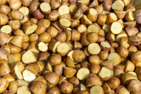 Chef preparing small potatoes for roasting in a large pan Stock Photos