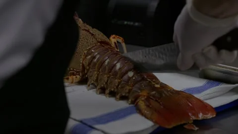 Chef preparing a split lobster for cooking 스톡 동영상 344299997