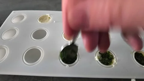 Chef preparing tomato mozzarella basil balls 스톡 동영상 344053110