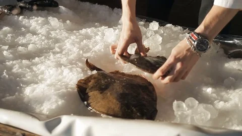 The chef puts a lot of fish on the ice Stock Footage 83222891