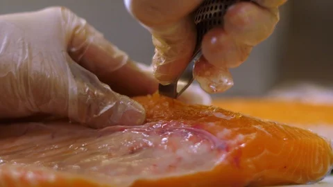 Chef Is Removing Pin Bones from Salmon Vídeo Stock 104686984