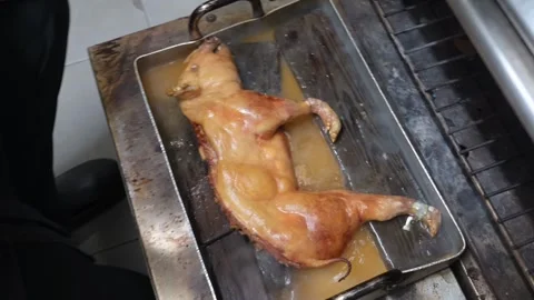 Chef removing roasted suckling pig from professional oven Stock-Footage 323353758