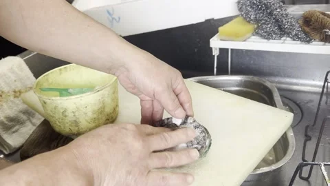 Chef Rubbing Salt Onto A Live Abalone Cleaning Shellfish In Japanese Kitchen Stock-Footage 338239901