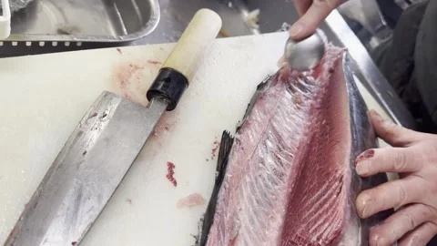 Chef scraping the remaining meat off the backbone of a young bluefin tuna Stock-Footage 338166785