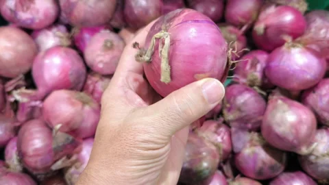 The chef is selecting large shallots from a basket at the market. Video stock 318733367