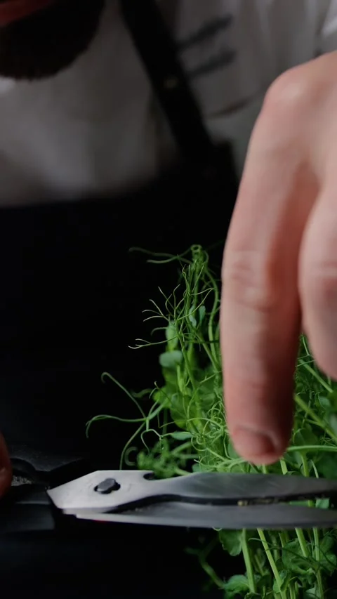The Chef Selection Of Herbs For A Vegetarian Meal Stock Footage 275429122
