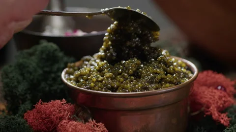 Chef serves black caviar with a silver spoon in metal plate in restaurant Stock Footage 205328872