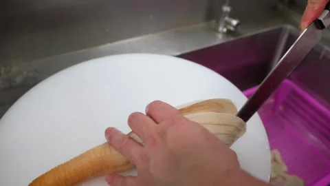 Chef Shucking and Preparing a Fresh Giant Geoduck Clam in a Restaurant Kitchen Vídeos de archivo 344229437