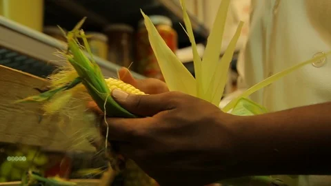 Chef. Shucks corn fresh from the farm. cu A Video stock 101700925