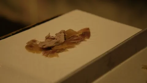 Chef Slicing Cooked Meat and Skin for Serving in Beijing Restaurant Kitchen Stock Footage 345765617