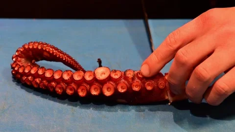 Chef slicing a cooked octopus tentacle with a knife Stock Footage 327581619