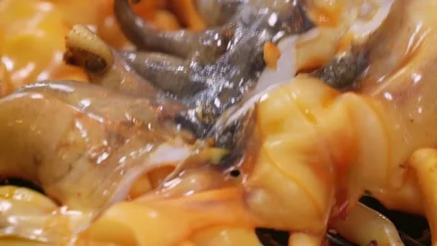 Chef Slicing Grilled Whole Squid on Street Food Barbecue Grill Vídeos de archivo 344218019