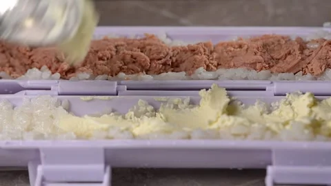 Chef spreading rice on nori sheet using sushi machine Vidéo 289612971