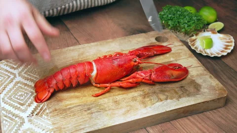 A chef stabbing with a knife cooked red lobster and cut in half in 4K. Video stock 146342884