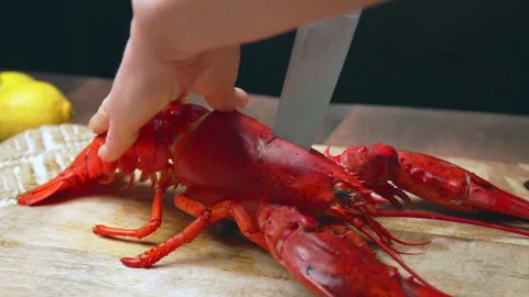 A chef stabbing with a knife cooked red lobster and cut in half in 4K. Stock Footage 146343018