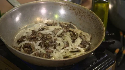 Chef stirring crickets dish in pan at kitchen Stock Footage 93518953