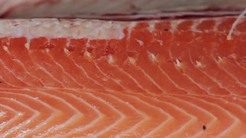 Chef takes out bones from salmon Stock Footage 75549376