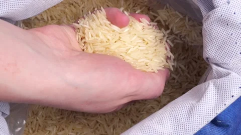 Chef taking basmati rice from bag in slow motion Stock Footage 311128705