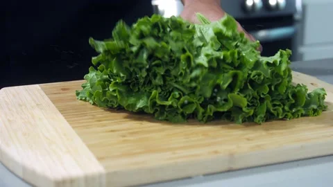 Chef tosses lettuce leaves Stock Footage 223028282