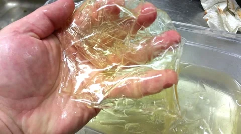 Chef touching softened gelatine leafs, at a restaurant kitchen Stock Footage 57652009