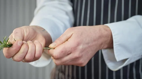 Chef trims herbs, detailed view of culinary herb preparation Stock Footage 324574934
