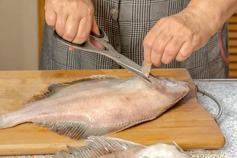 Chef uses scissors to cut out a fin from a fresh flounder Stock Photos