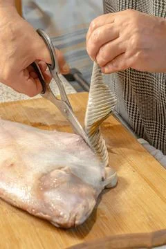 Chef uses scissors to cut out a fin from a fresh flounder Stock Photos