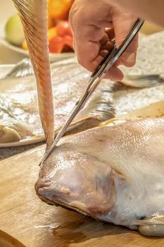 Chef uses scissors to cut out a fin from a fresh flounder Stock Photos