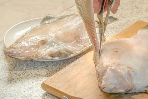 Chef uses scissors to cut out a fin from a fresh flounder Stock Photos