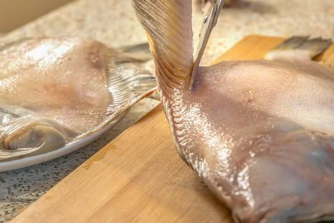 Chef uses scissors to cut out a fin from a fresh flounder Stock Photos
