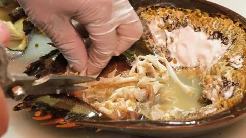 Chef Using Scissors to Prepare and Cut Fresh Horseshoe Crab Meat Stock Footage 344221288