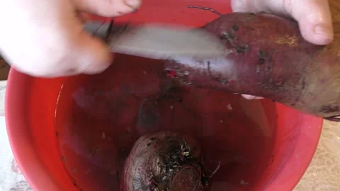 The chef washes the beets Stock Footage 165151507
