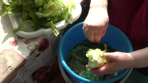 The chef washes fresh herbs in water. healthy food concept Stock Footage 162016557