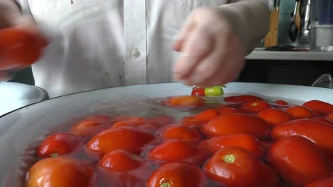 The chef washes the tomatoes with water Stock Footage 138721494
