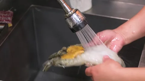 Chef Washing and Cleaning Fresh Raw Giant River Prawn Under Running Water in Sin 動画素材 344217044