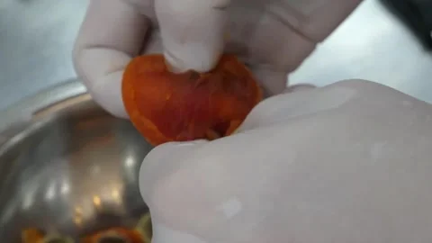 Chef Wearing Gloves Peeling Dried Persimmon in Metal Bowl Close Up Stock Footage 345291839