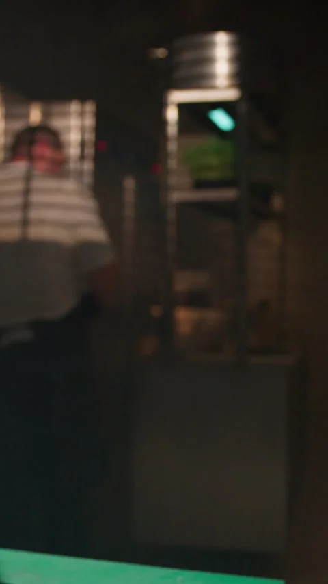 A Chef Working In His Kitchen, Slow Motion Stock Footage 276240210