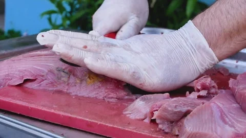 Chefs Gloved Hands Cutting a Fish Steak for Cooking Stock Footage 346526252