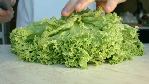 Chefs hands cutting a fresh green salad leaf. 動画素材 80254760