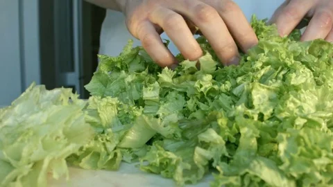 Chefs hands cutting a fresh green salad leaf. 動画素材 80254984
