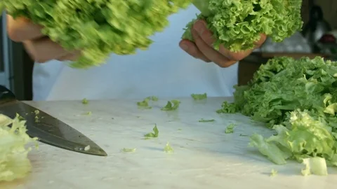 Chefs hands cutting a fresh green salad leaf. Video stock 80255537